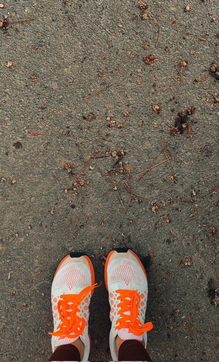 NKCalliope tweet media