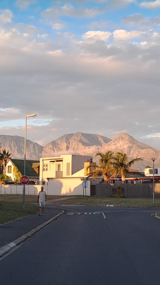 Mufasa007 tweet media