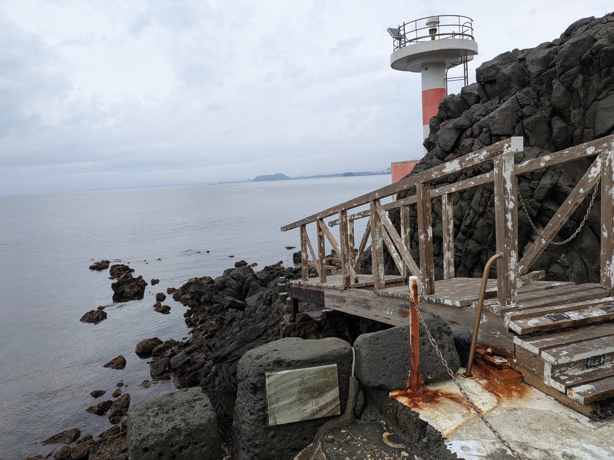 マカロニ tweet media