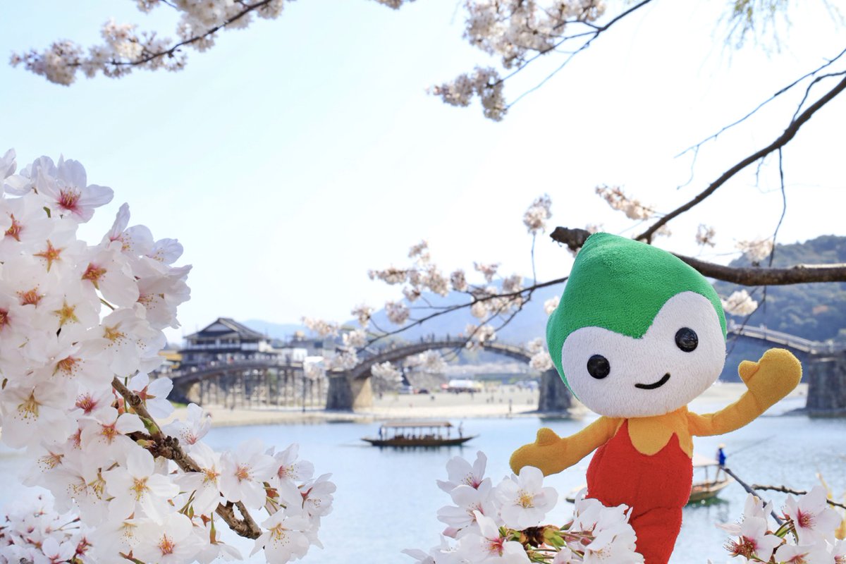 山口県PR本部長ちょるる【公式】 tweet media