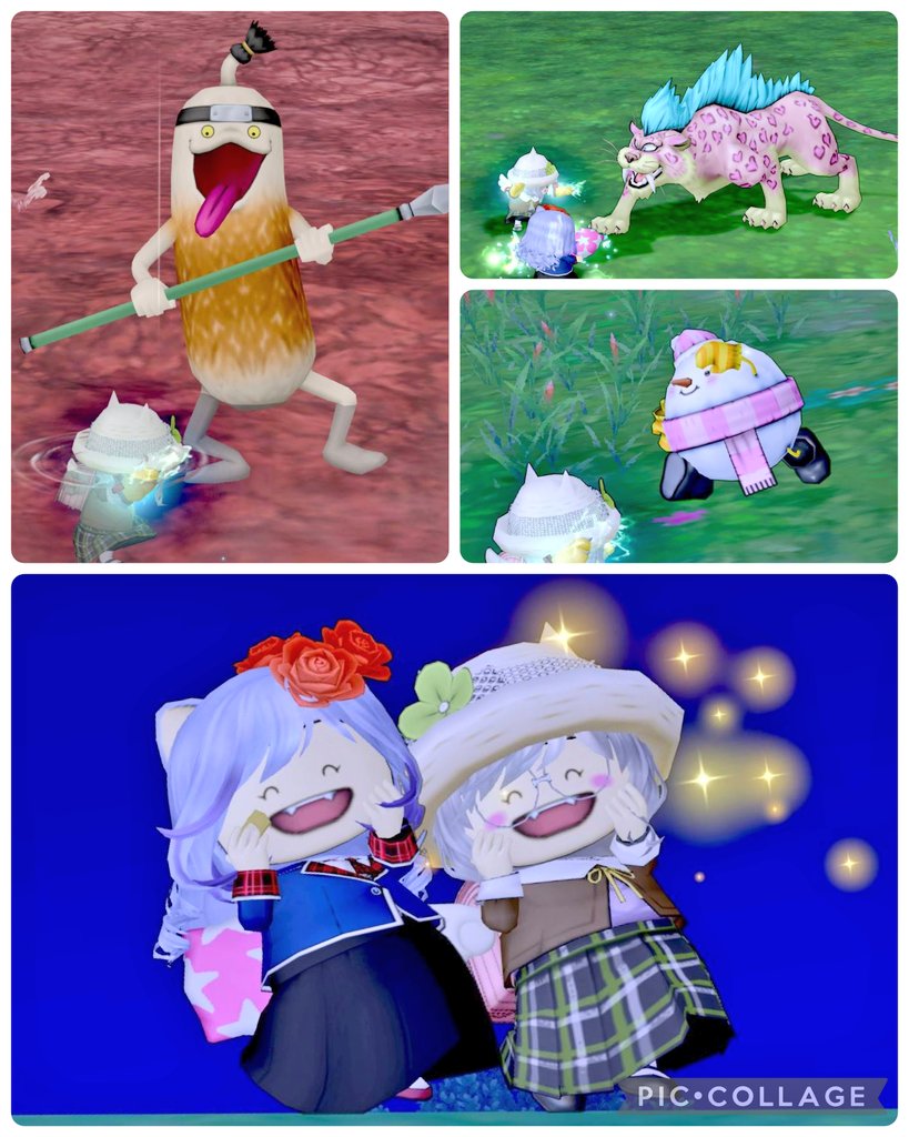 なめこ／レクタリス tweet media