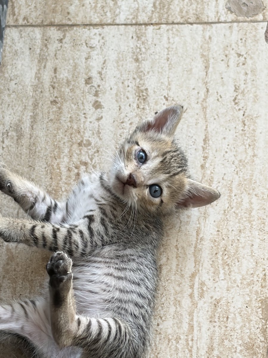 sethu ☾ tweet media