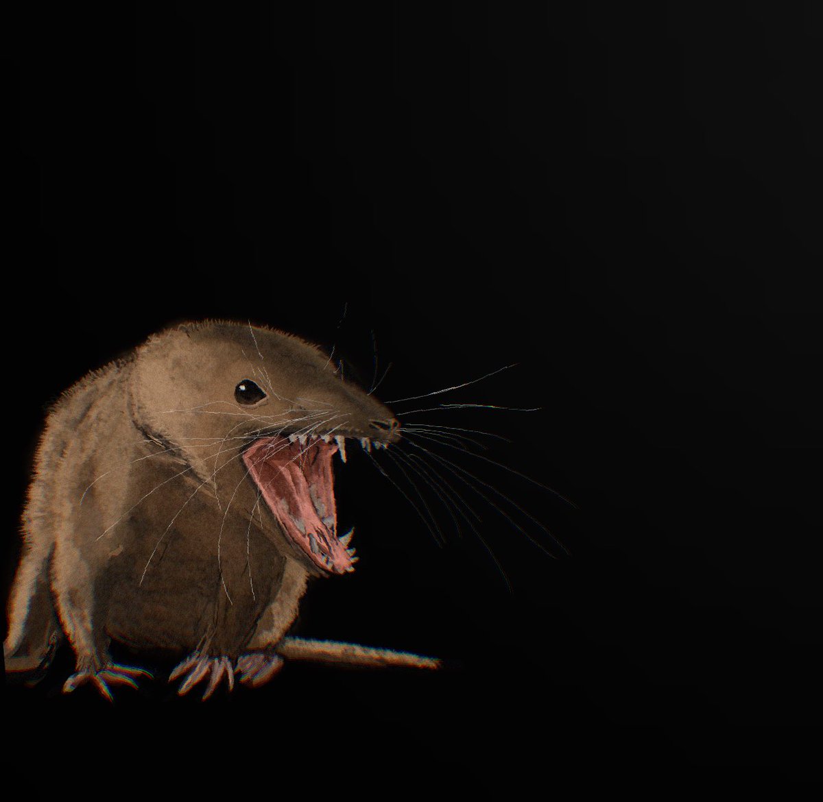 Gael casas tweet media