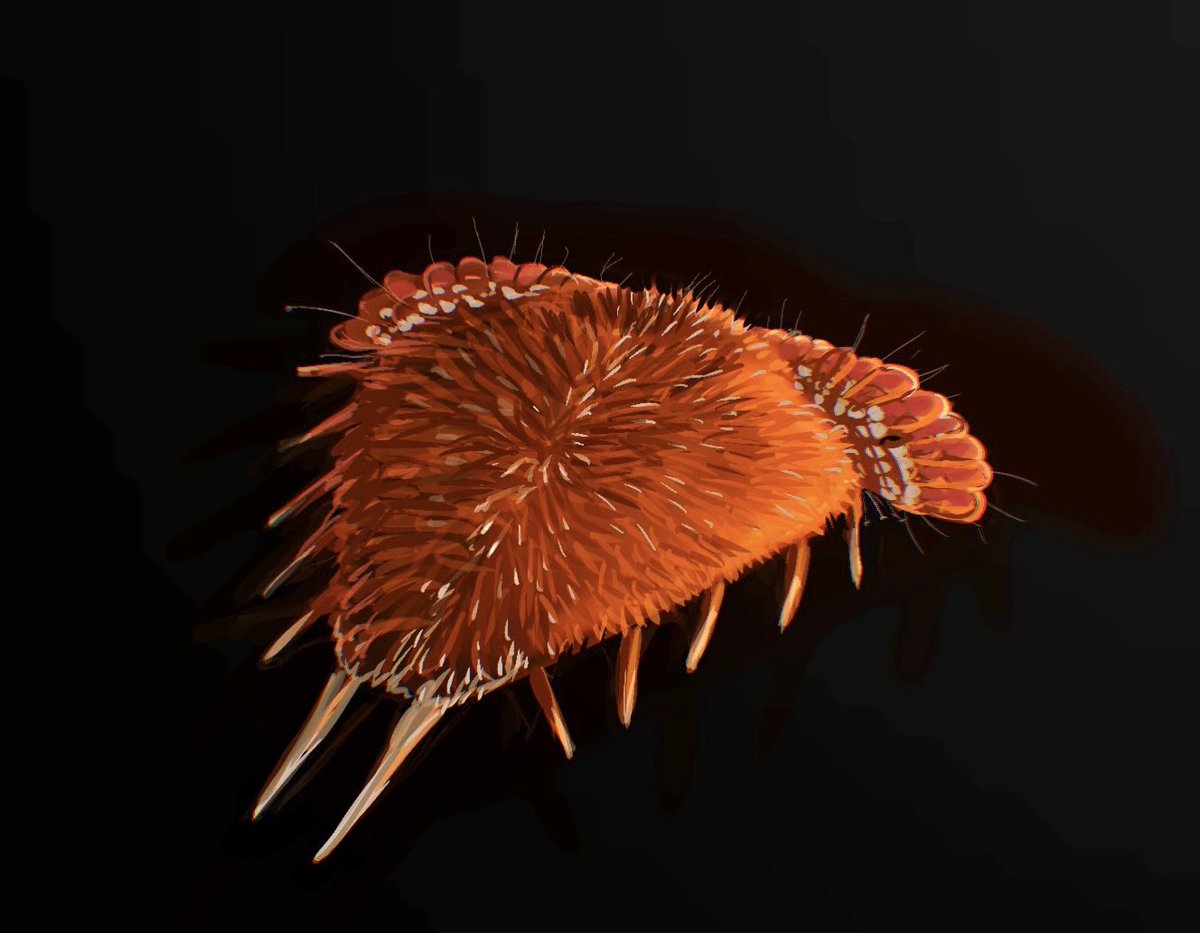 Gael casas tweet media