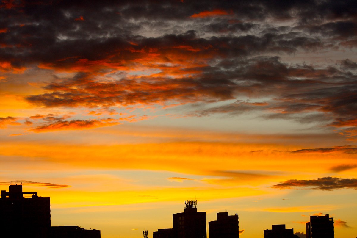 Any 🇨🇴 🇮🇱 tweet media