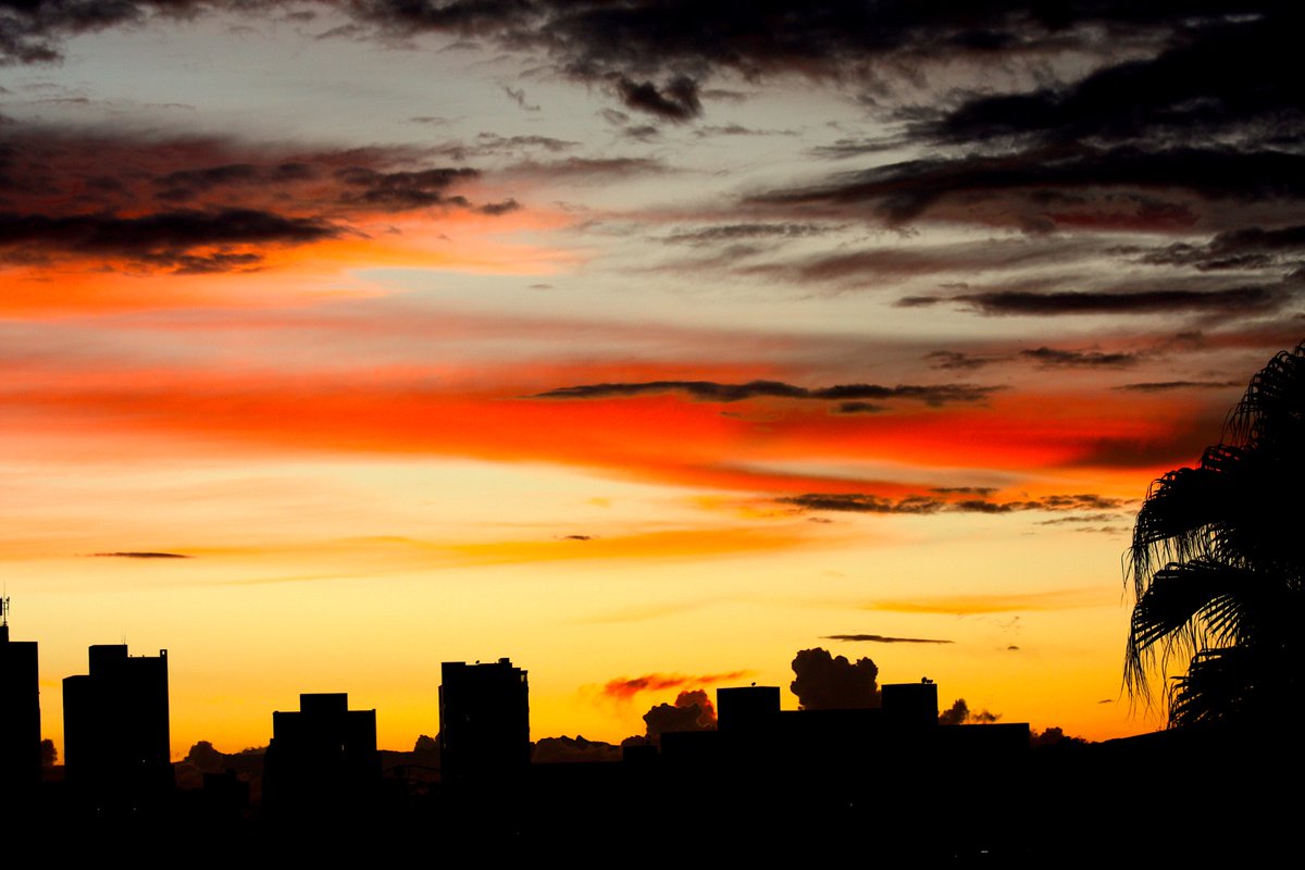 Any 🇨🇴 🇮🇱 tweet media