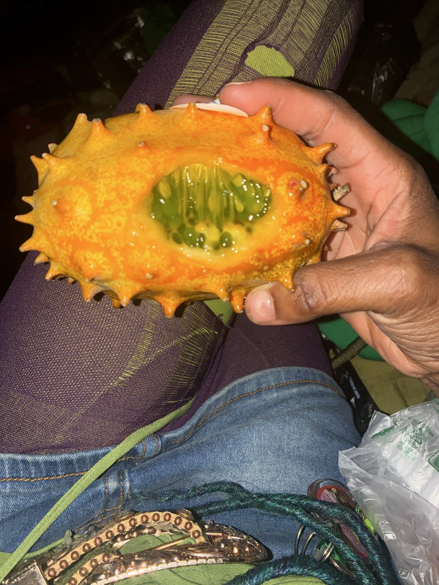 FATHER NATURE🧌🌳 tweet media