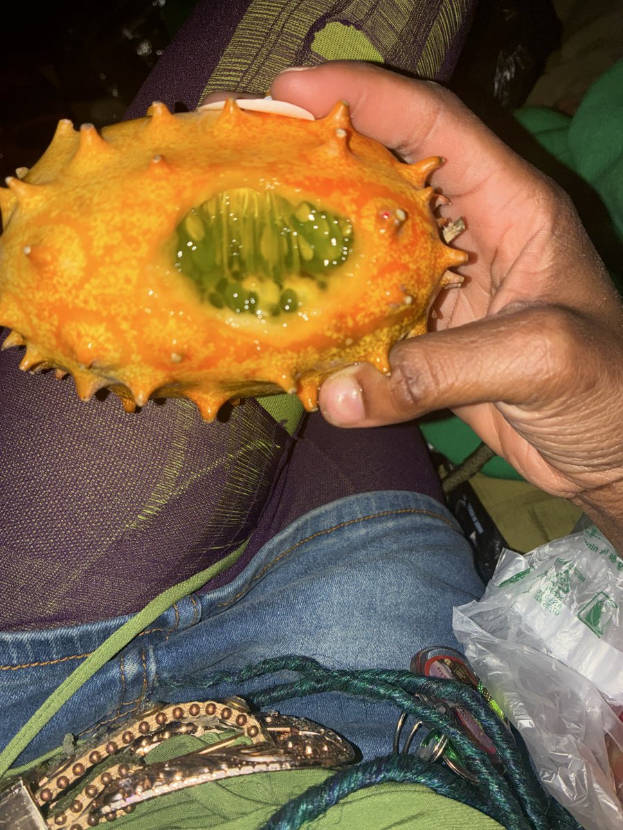 FATHER NATURE🧌🌳 tweet media