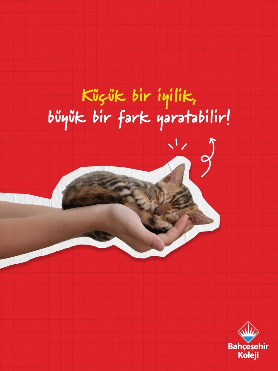 Bahçeşehir Koleji tweet media