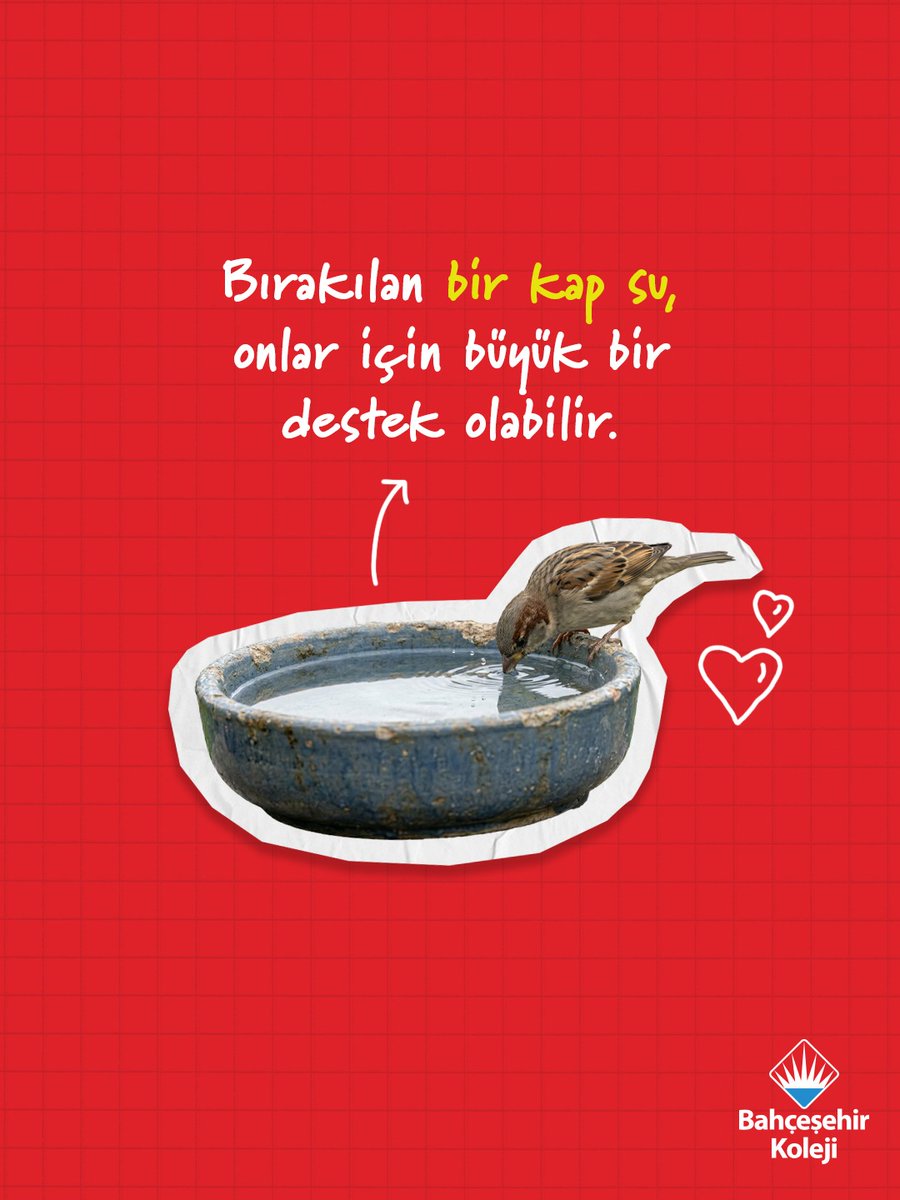 Bahçeşehir Koleji tweet media