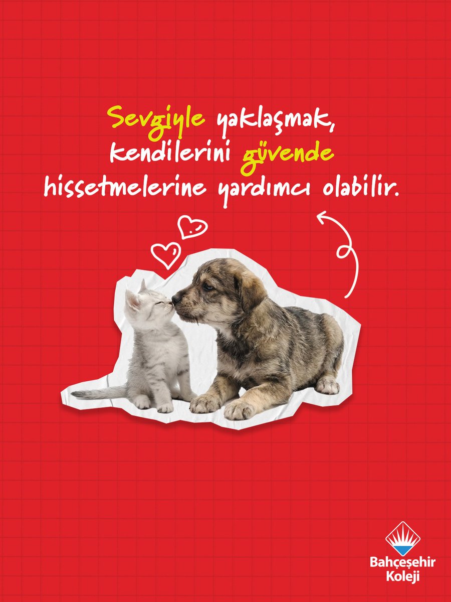 Bahçeşehir Koleji tweet media