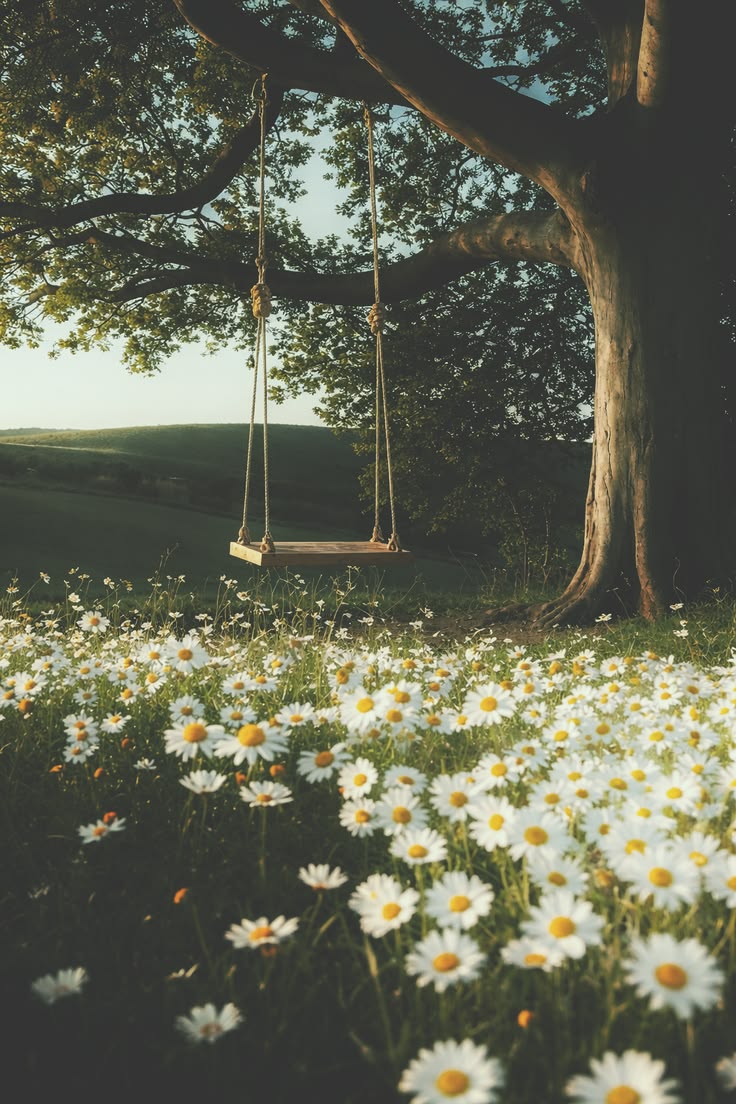 𝑎𝑒𝑠𝑡ℎ𝑒𝑡𝑖𝑐 𝑎𝑟𝑡 tweet media