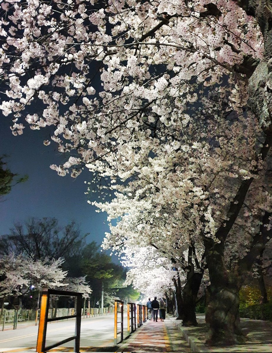 타인_☁️ tweet media