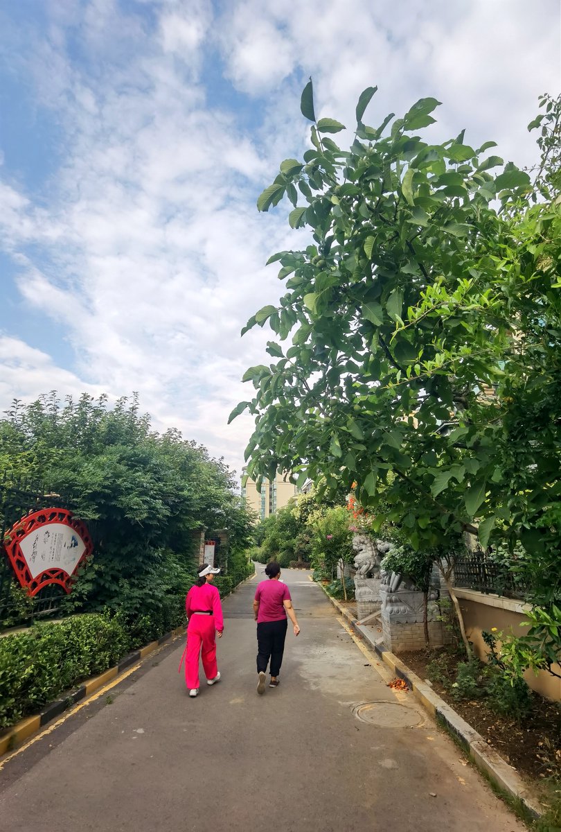 SecondFuture's tweet photo. Traded 30 mins of scrolling for morning walks—sunshine, birdsong, and zero FOMO. Game changer for my mood! https://t.co/CVO89FlPxl