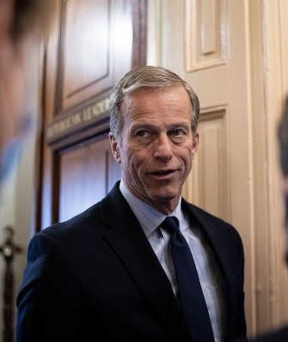 MAGA Voice tweet media