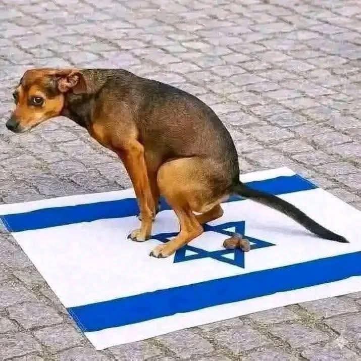 واعتصموا بحبل الله جميعآ ولا تفرقوا tweet media