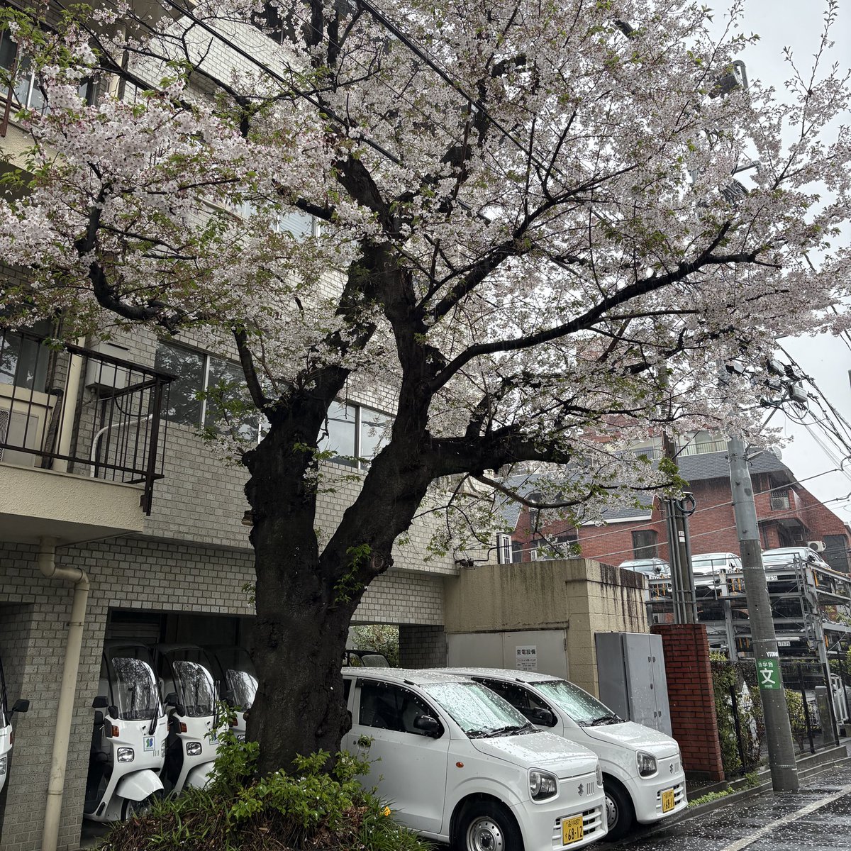 aquioアキオ 時間旅行社 tweet media