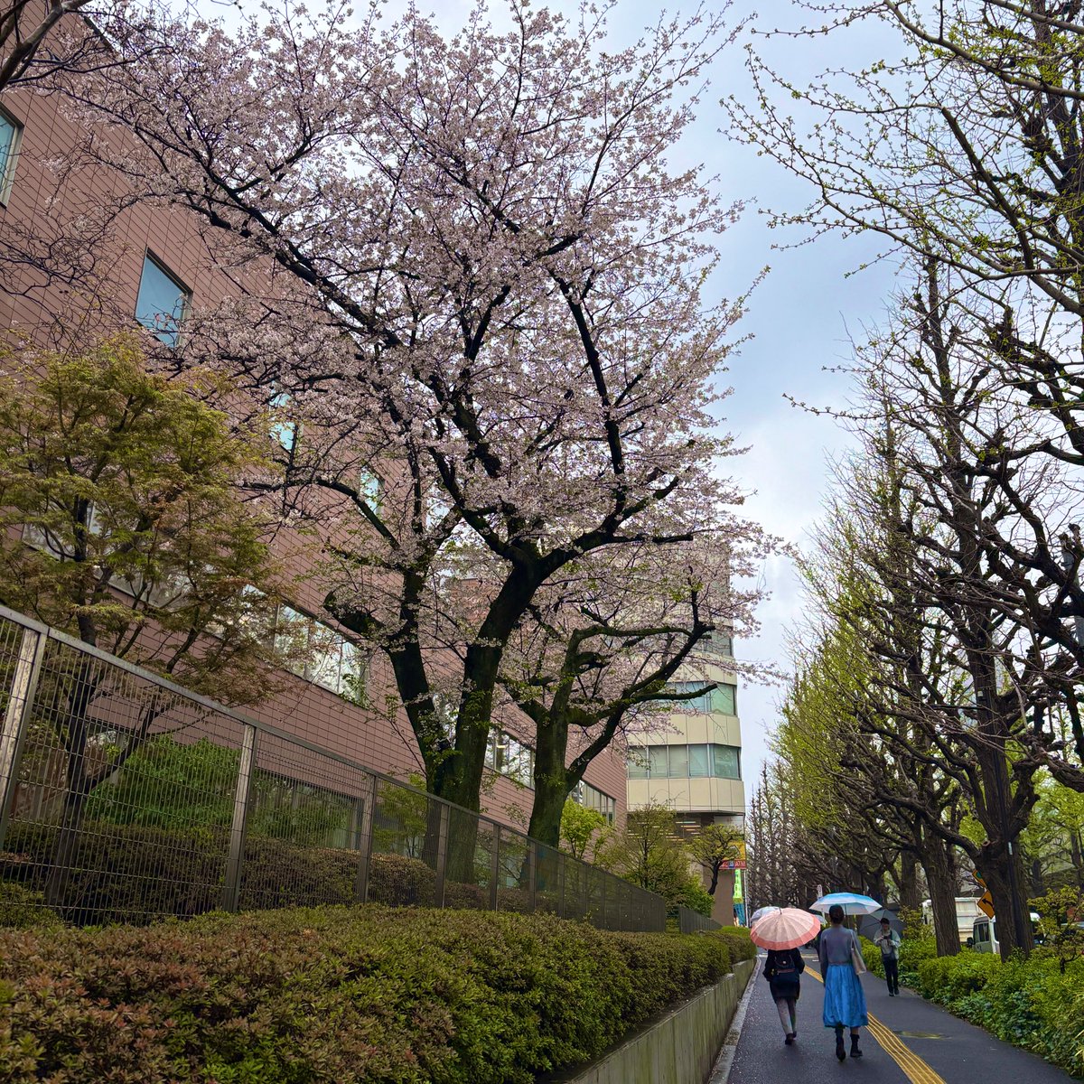 aquioアキオ 時間旅行社 tweet media