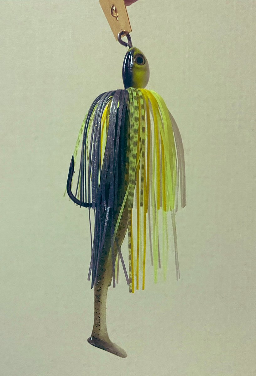 ドボンチ tweet media