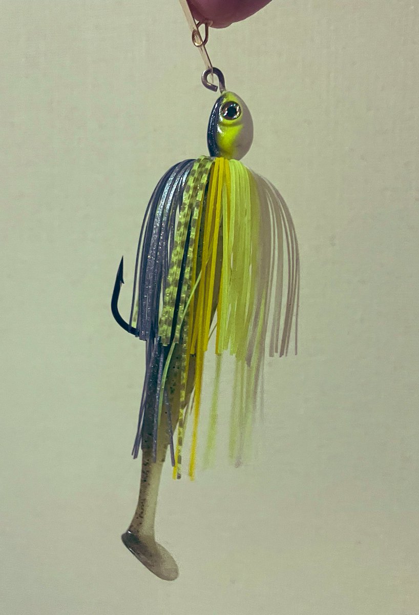 ドボンチ tweet media