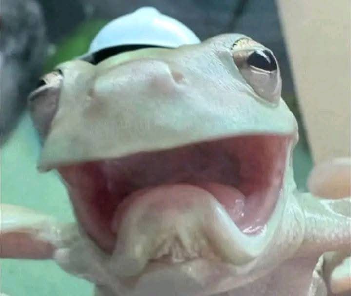 ELDELTASS🇦🇷 tweet media