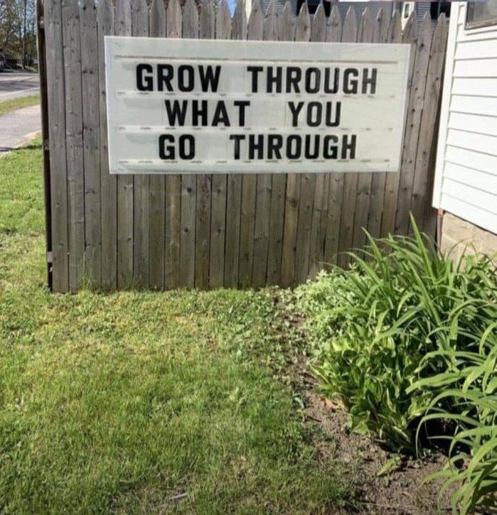 EliteFX. tweet media