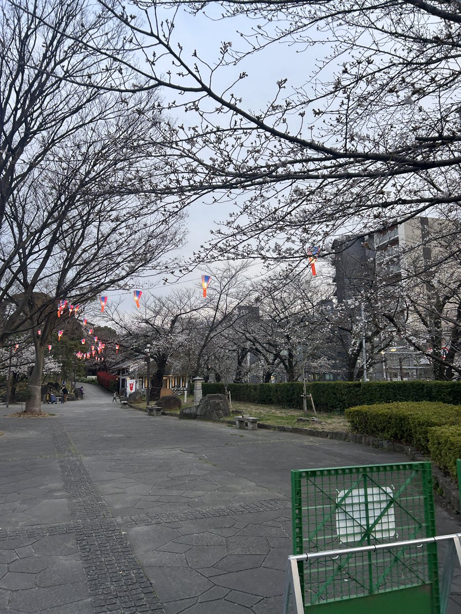 ととちゃん tweet media