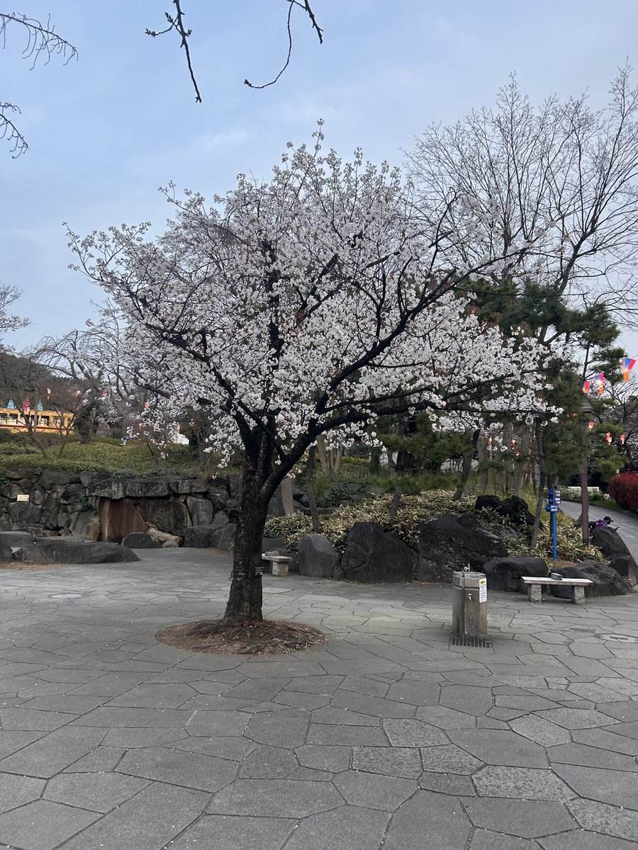 ととちゃん tweet media