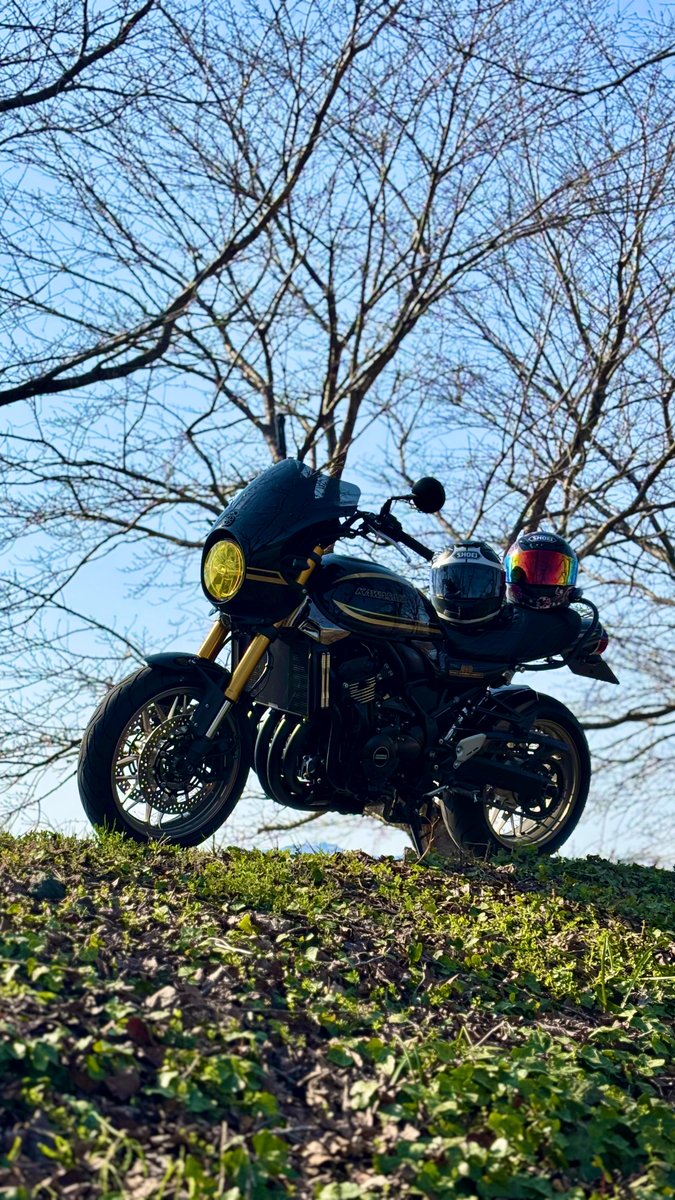 𝑴𝒐𝒄𝒄𝒉𝒂𝒏^^ tweet media