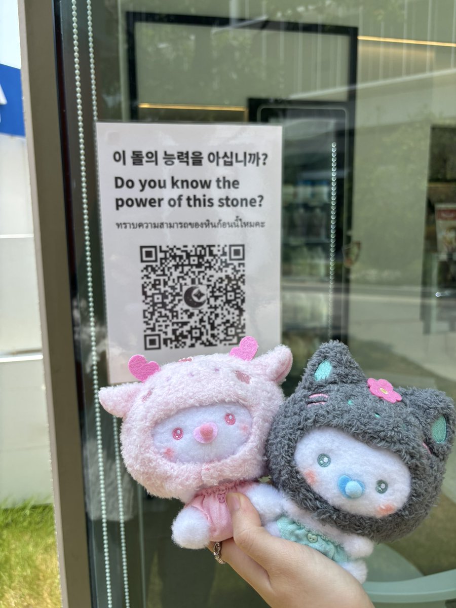 มี๊ซด 🐈‍⬛🌱 tweet media