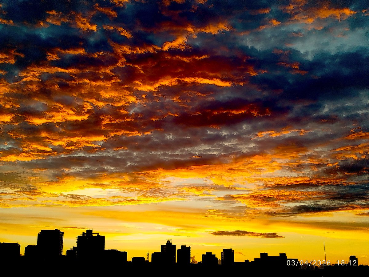 Any 🇨🇴 🇮🇱 tweet media