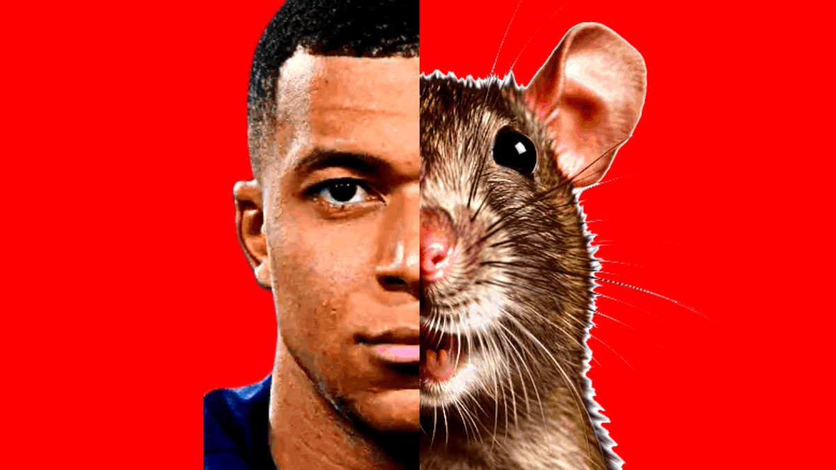 𝐏𝐒𝐆𝐈𝐍𝐓 tweet media