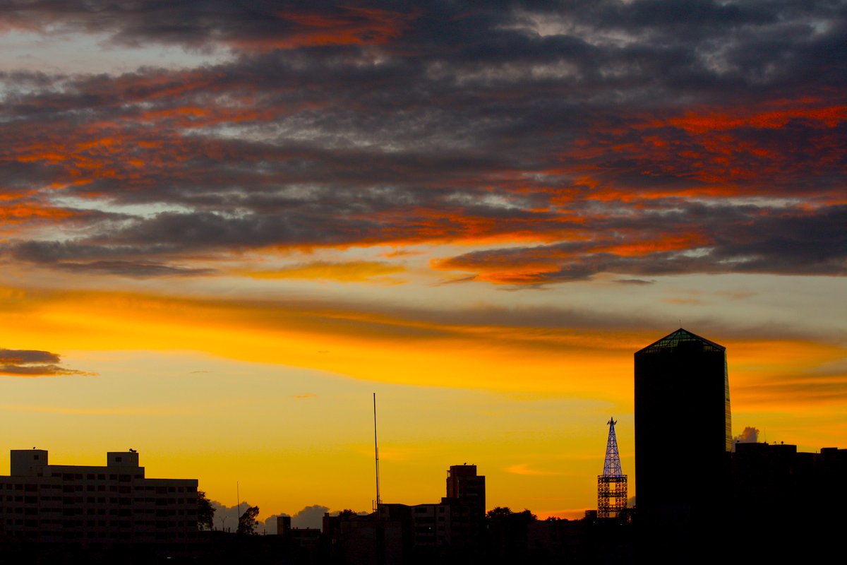 Any 🇨🇴 🇮🇱 tweet media