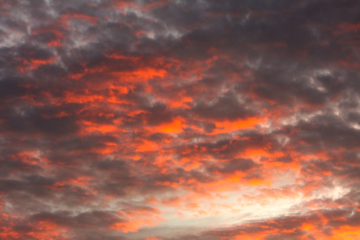 Any 🇨🇴 🇮🇱 tweet media