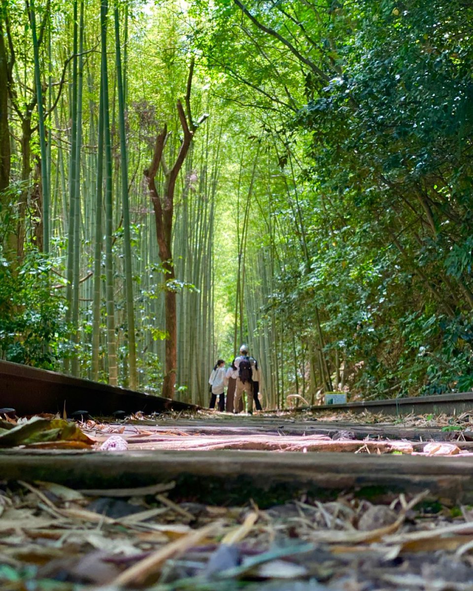 トマシバ tweet media