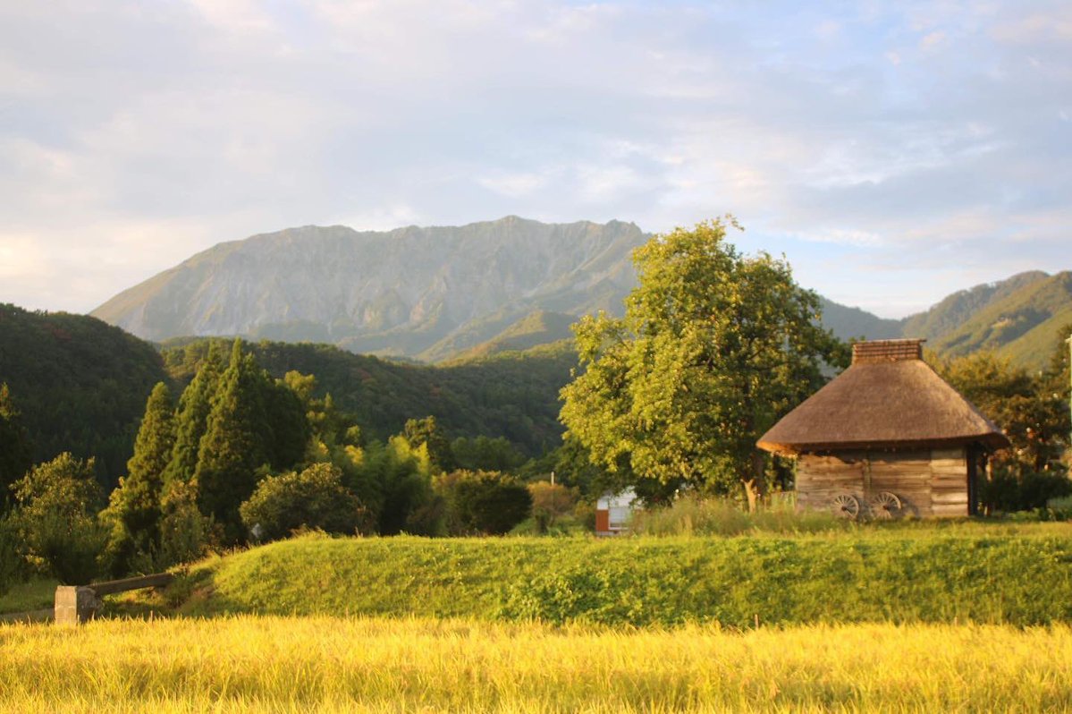 トマシバ tweet media