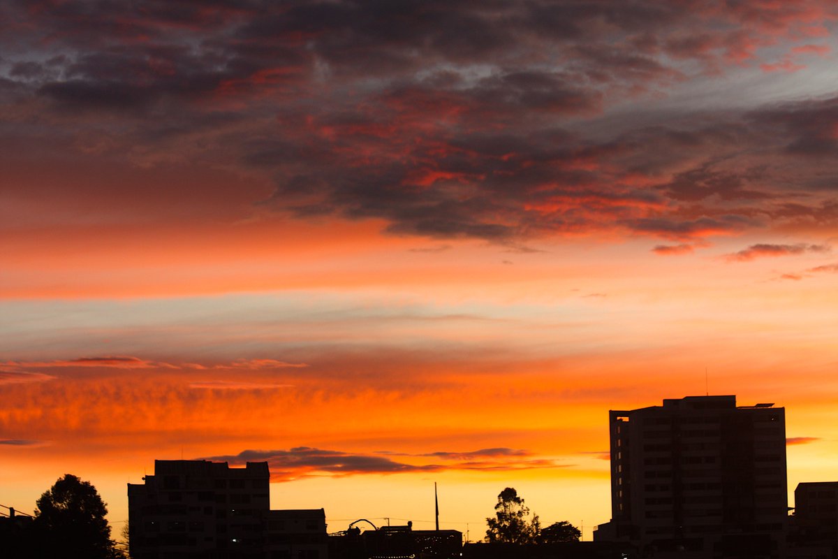 Any 🇨🇴 🇮🇱 tweet media