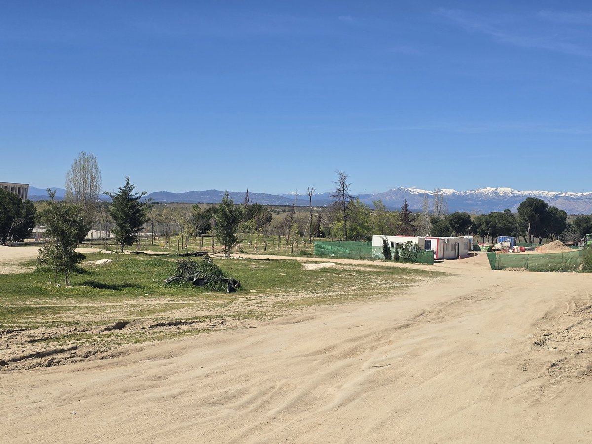 NOMEGACANTON tweet media