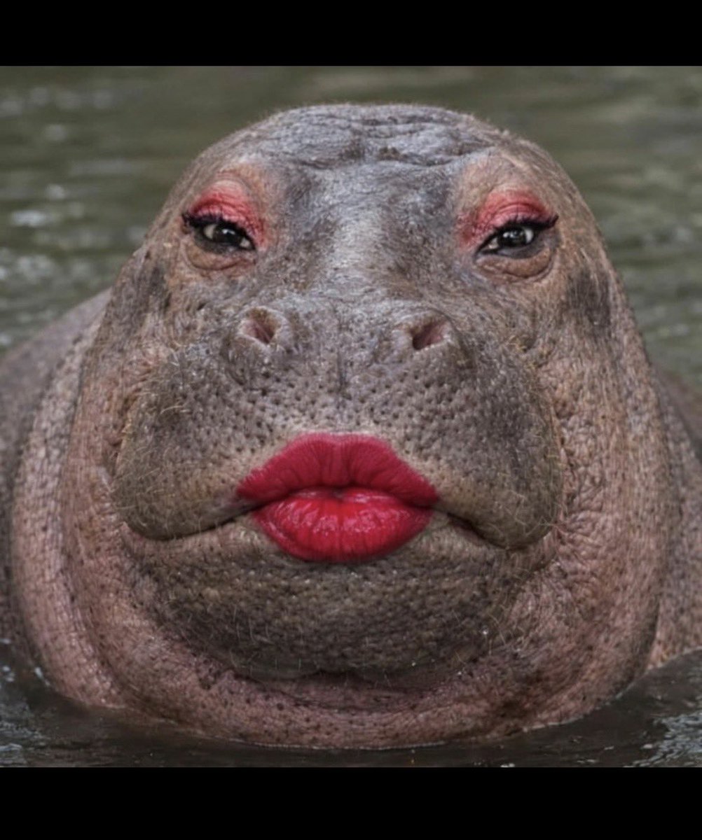 🎀 𝒯𝒽𝒶𝓃𝑔❀ 🎀 tweet media