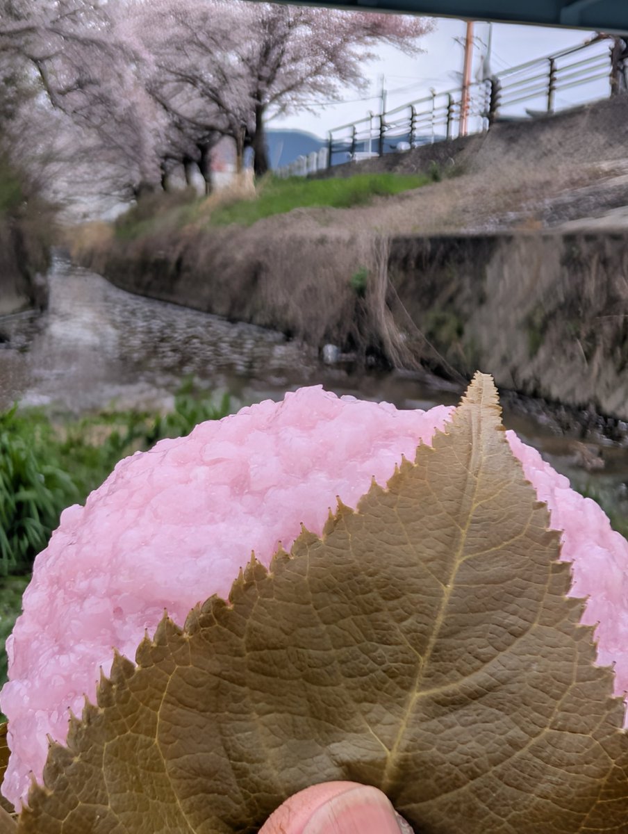 HACHI公 tweet media