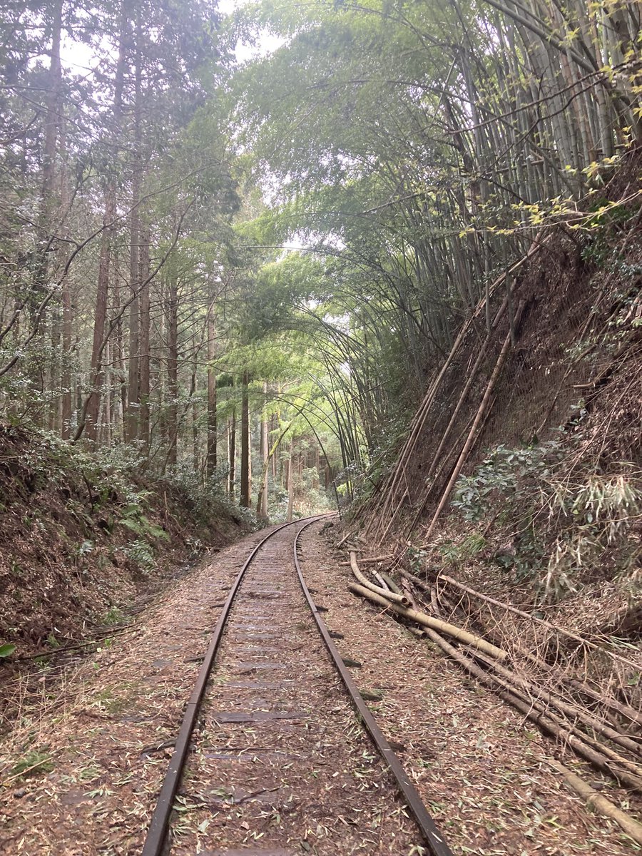 鐵路🌟 tweet media