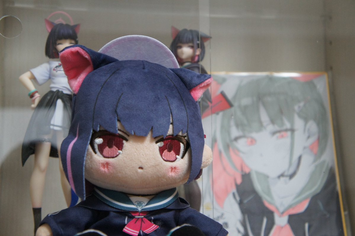 キョーヤ@カズサぬい活 tweet media