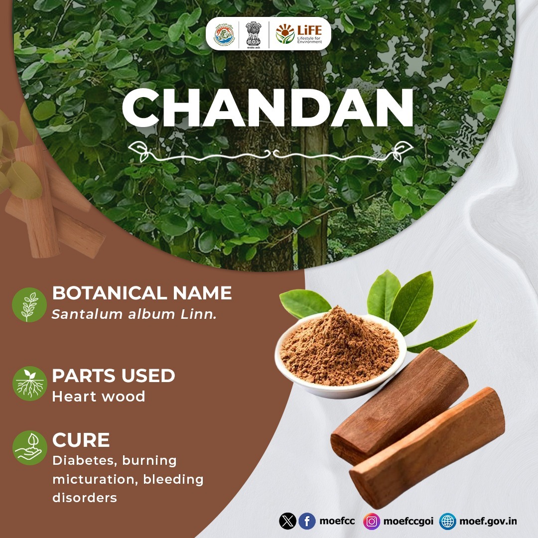 DRMJodhpurNWR's tweet image. CHANDAN
#ChooseLiFE #MissionLiFE @moefcc 
#IndianRailways #NorthWesternRailway
@NWRailways