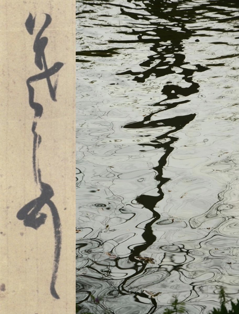 Ann（互fo互赞） tweet media