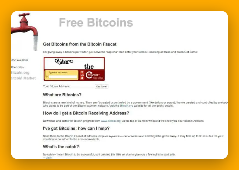 Solo Top tweet media