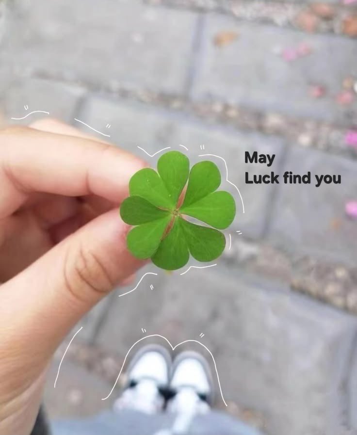 beyy 🪴 tweet media