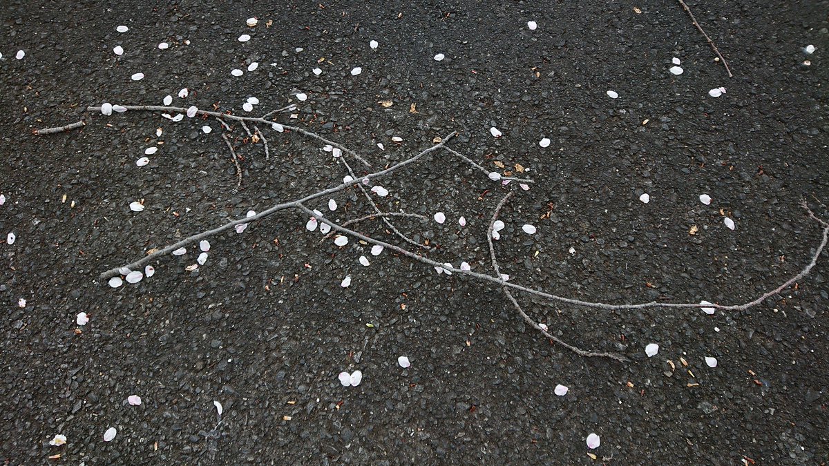 hiro_kero tweet media