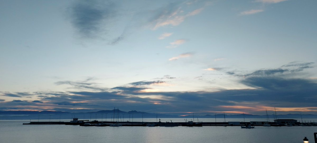 vasilis p tweet media