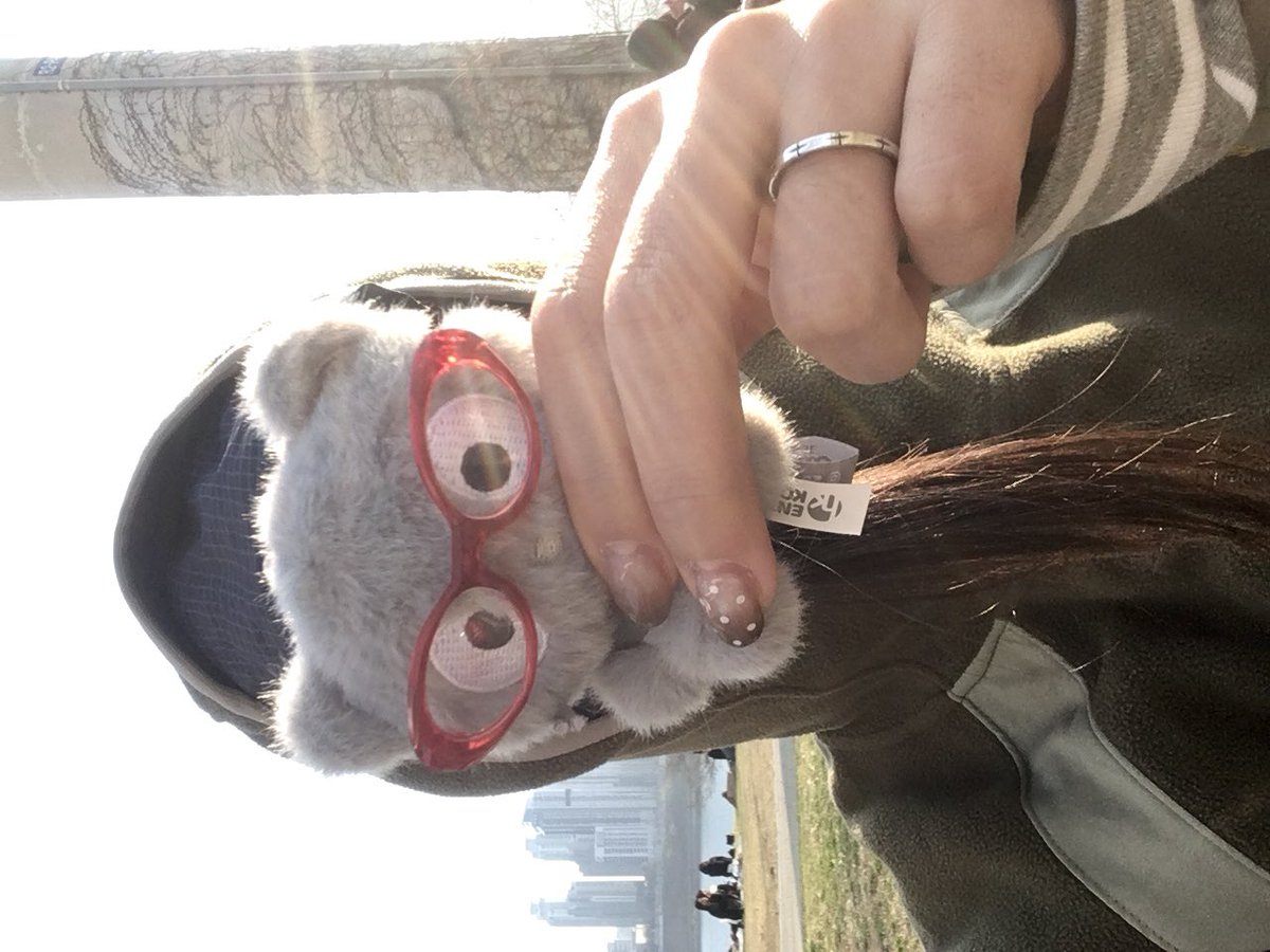 영원.. tweet media