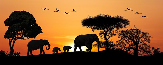 Elijah Arnold tweet media